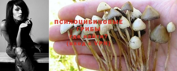 героин Арсеньев