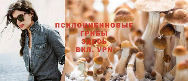спиды Нязепетровск